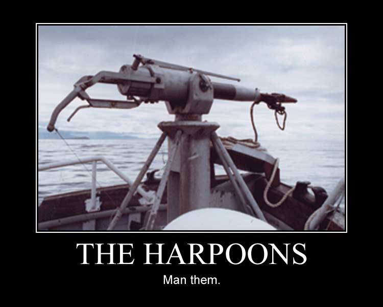 Name:  the_harpoons.jpg
Views: 515
Size:  31,0 KB